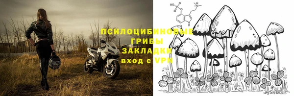 гидра Баксан